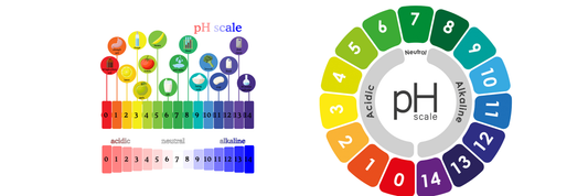 pH Balance in Skincare : Why It Matters for Healthy Skin