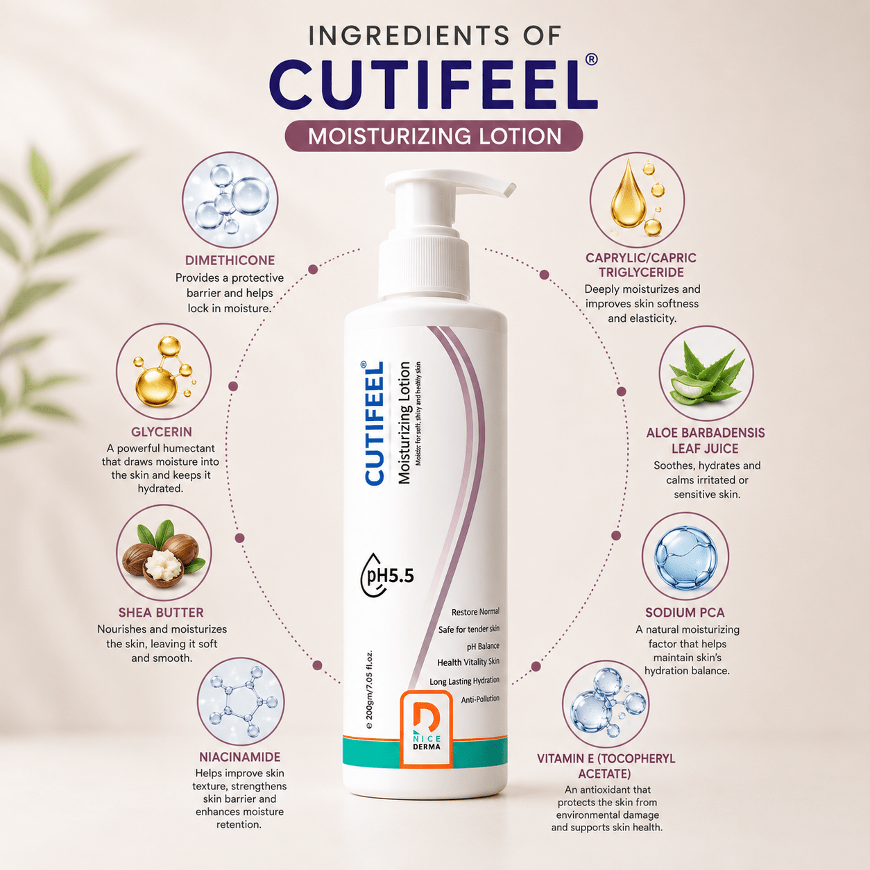 Cutifeel Moisturizing Lotion - Cosmosentials